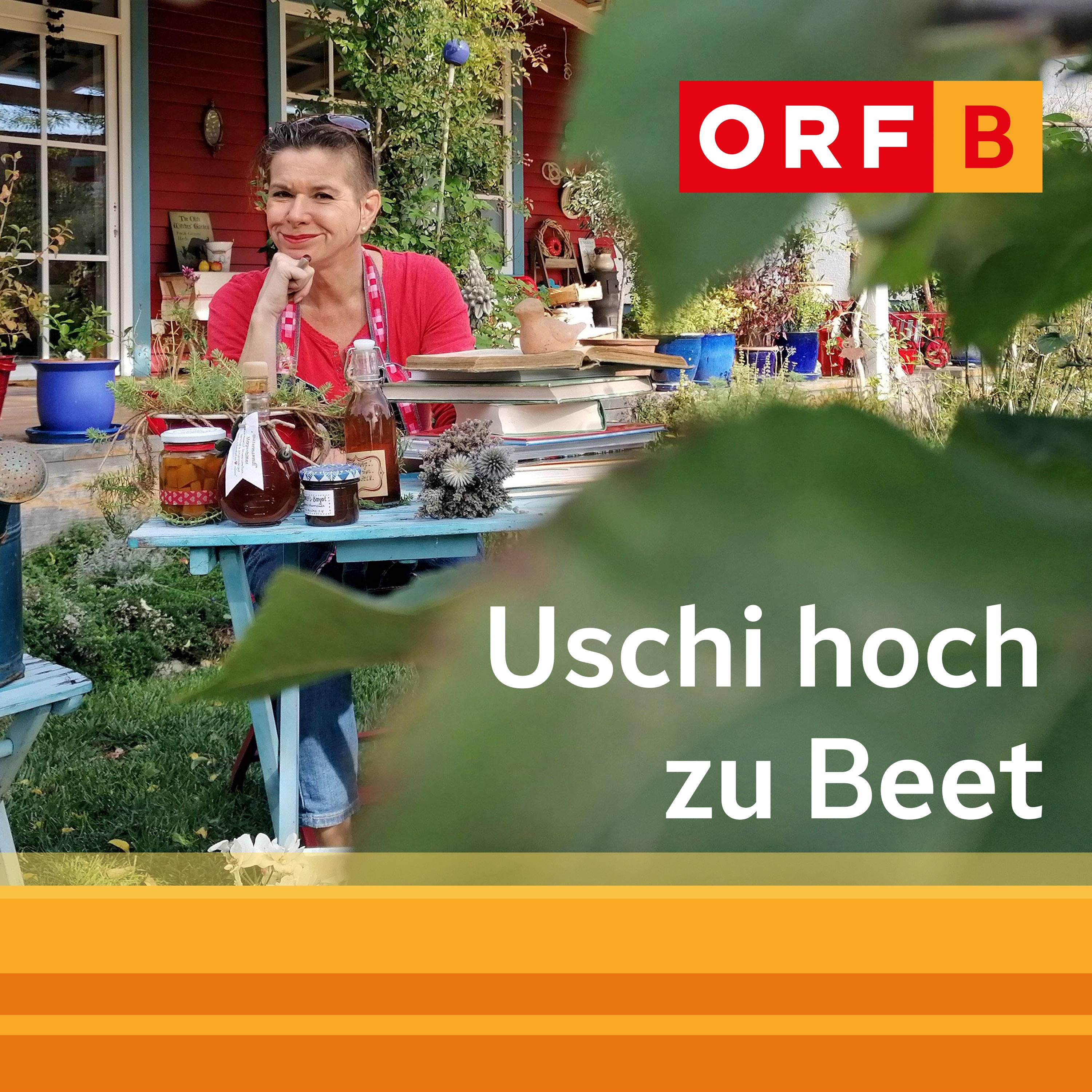 Uschi hoch zu Beet