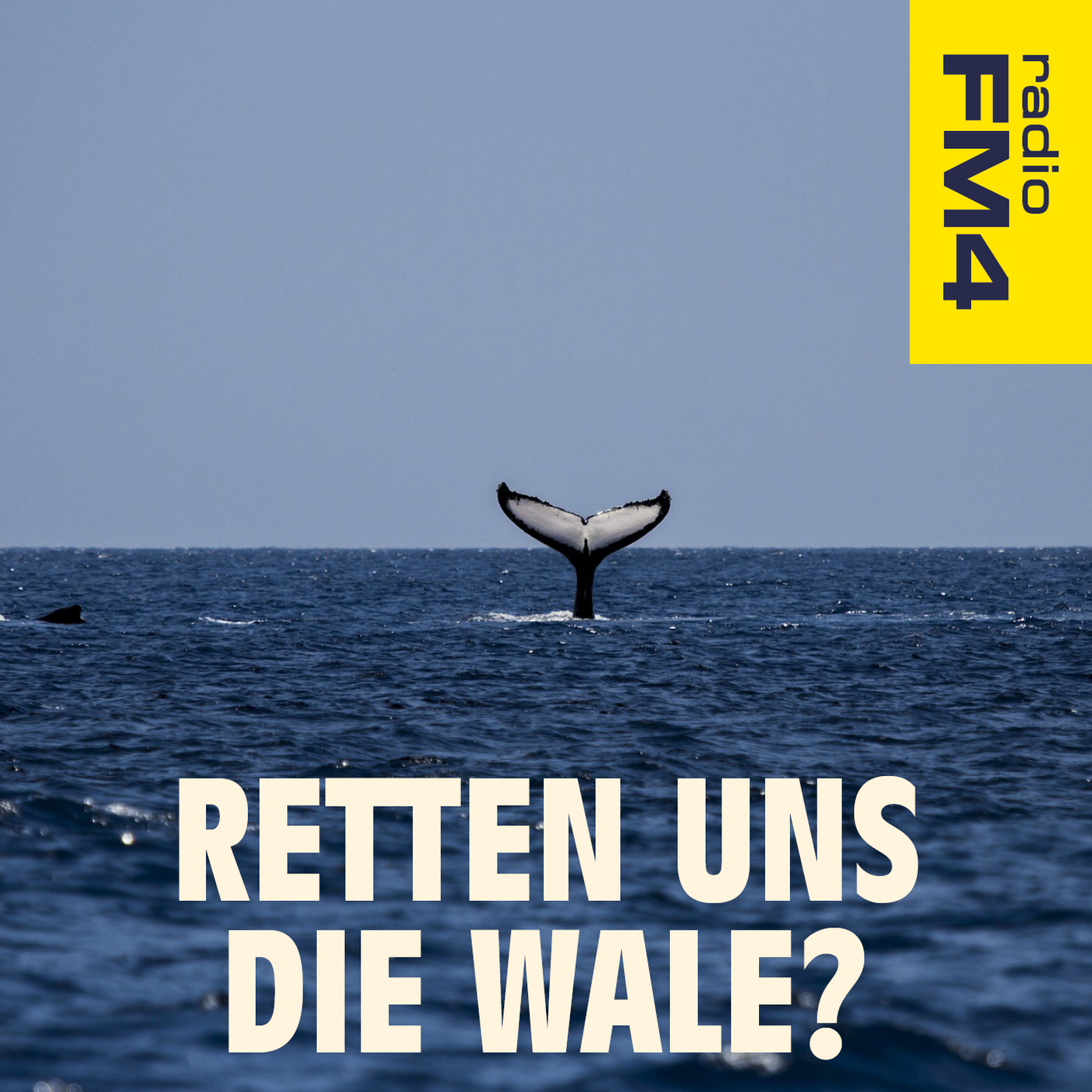 Deep Dive: Retten uns die Wale? (1/3) episode artwork