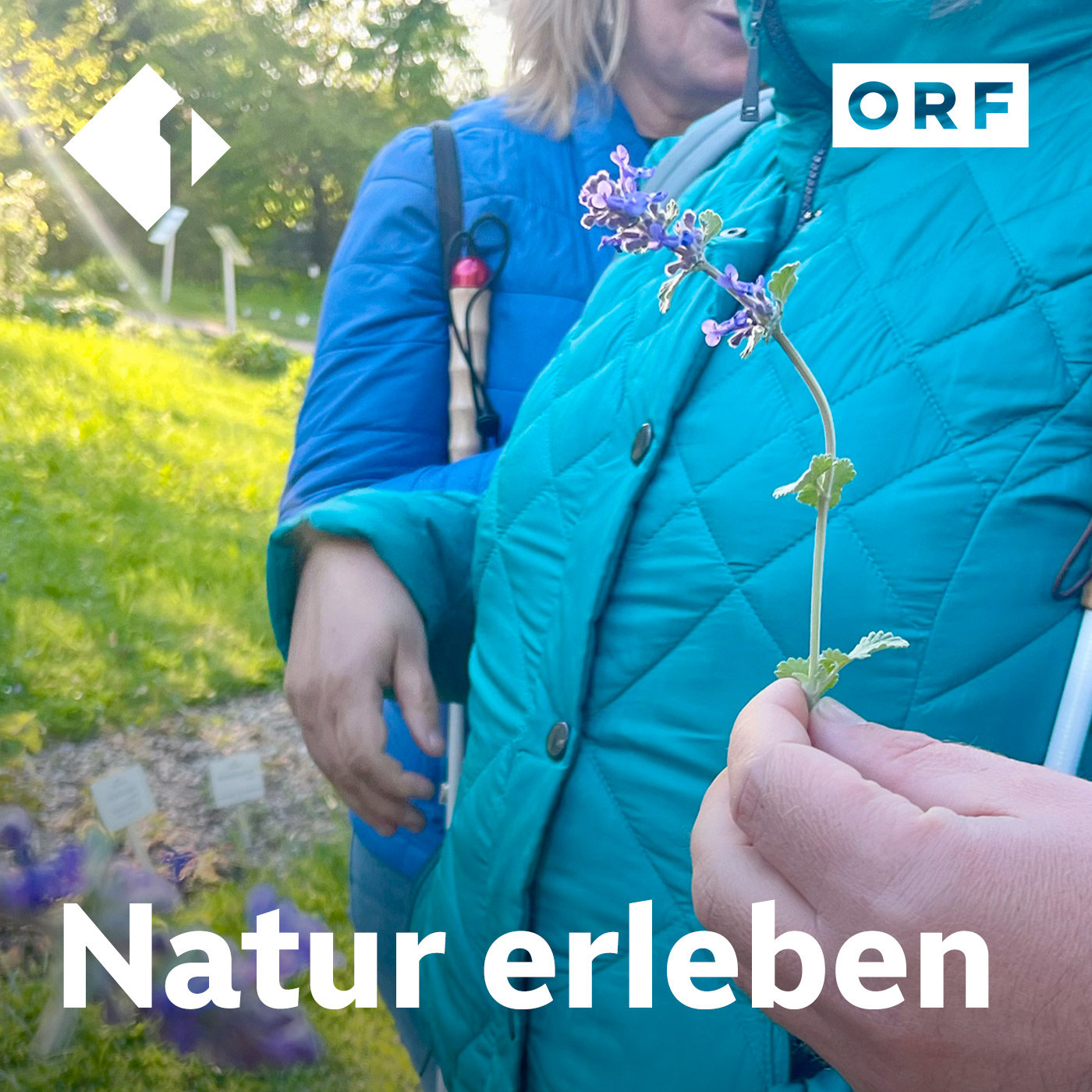 Natur bewusst erleben episode artwork