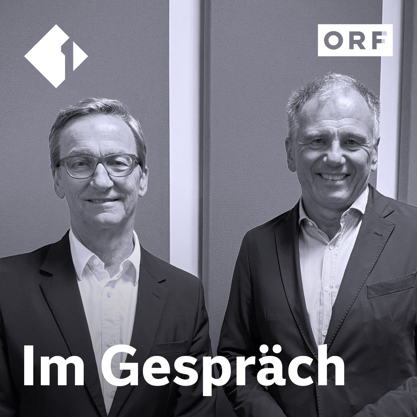 Artwork for Im Gespräch