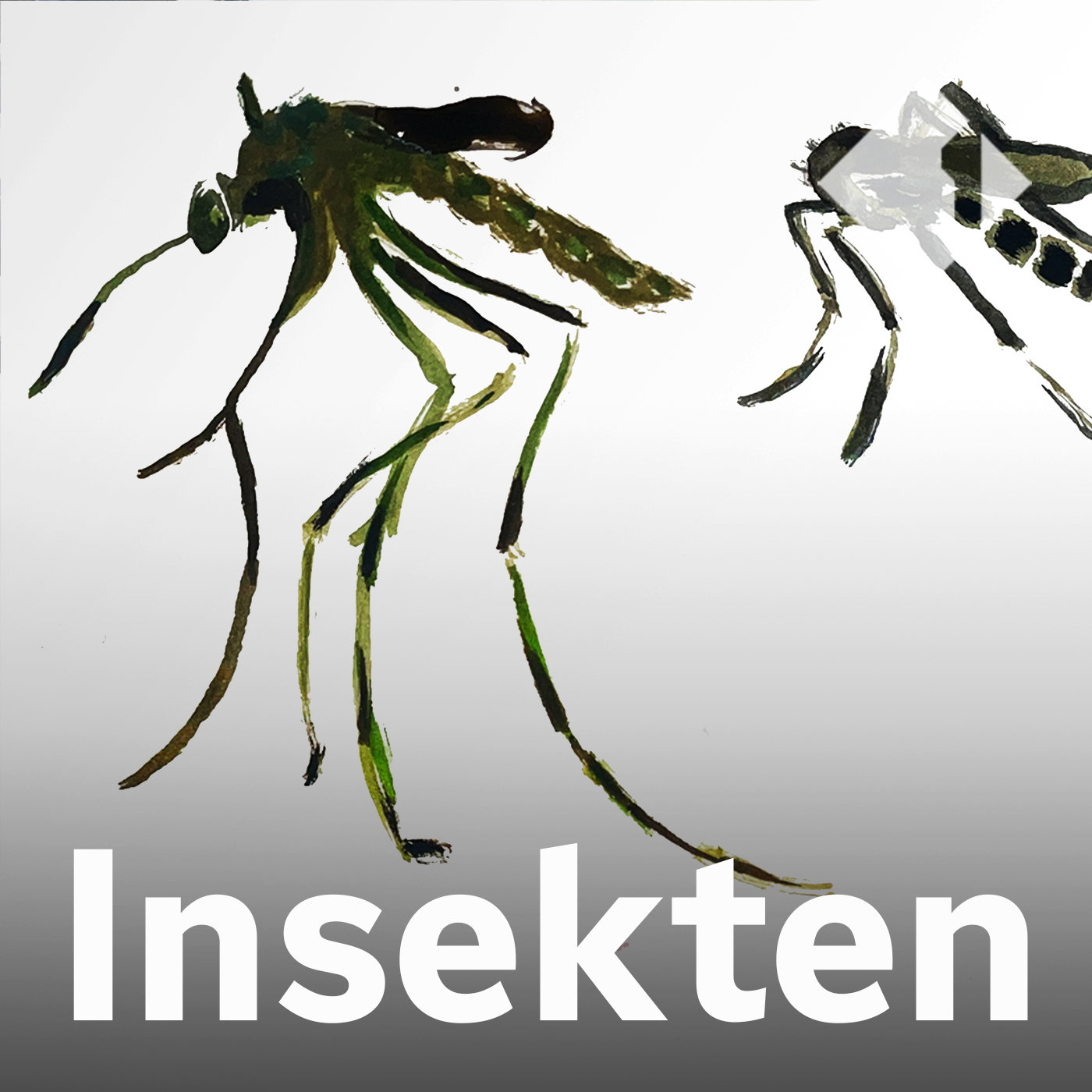 Die Gelse