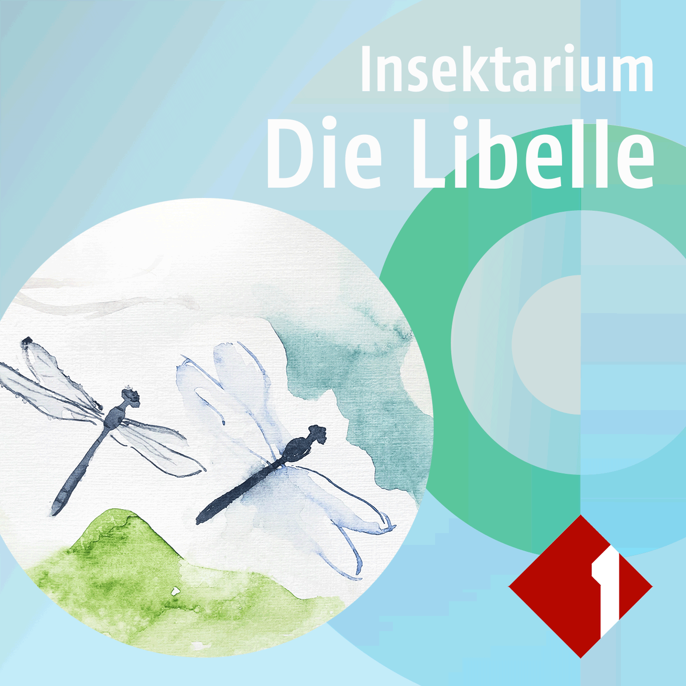 Insekten