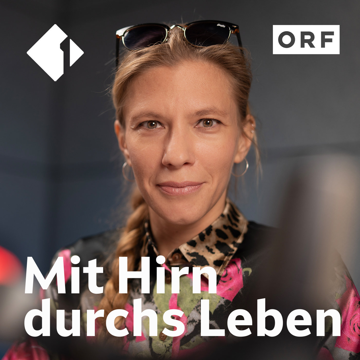Mit Hirn durchs Leben (3) episode artwork